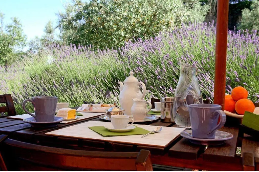 Breathtaking Villa W/Jacuzzi Tuscany Montepulciano Valiano